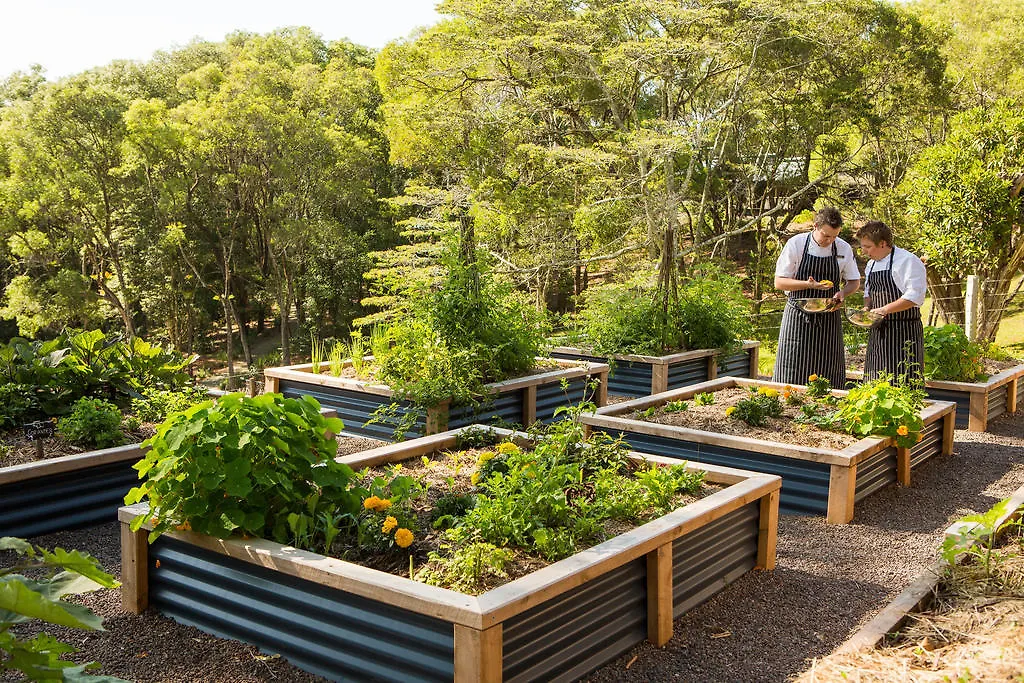 Spicers Tamarind Retreat Hotel Maleny